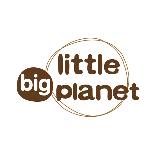 Little Big Planet有限公司