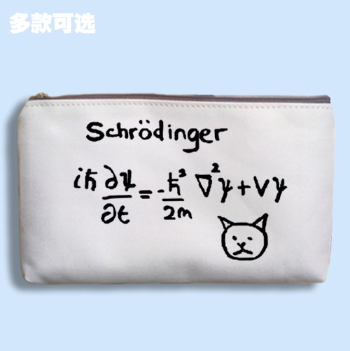 物理量子力学薛定谔方程猫公式手机包收纳袋手拿包笔袋零钱帆布包