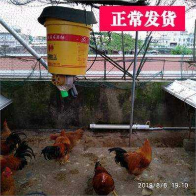 中国食器鸽子全自动定时喂适用于自动喂食器鸡投料器养下料机器12