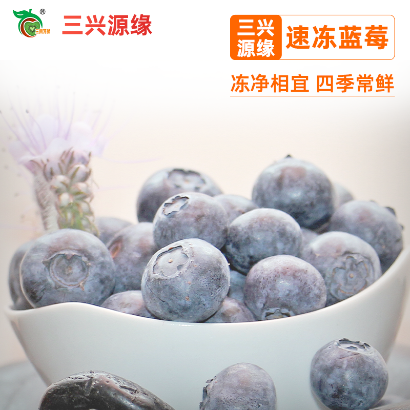 速冻蓝莓冷冻新鲜蓝莓冰冻水果饮品奶茶蛋糕店健身蓝莓汁果酱 1kg
