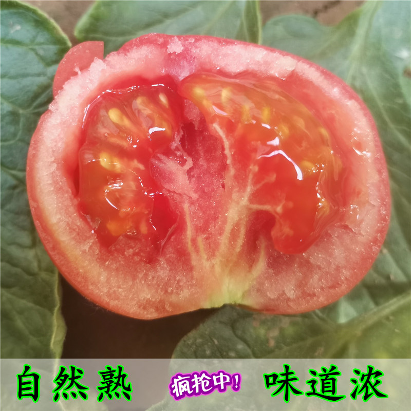 北京农家西红柿新鲜自然熟生吃自种番茄老品种沙瓤西红柿沙拉蔬菜