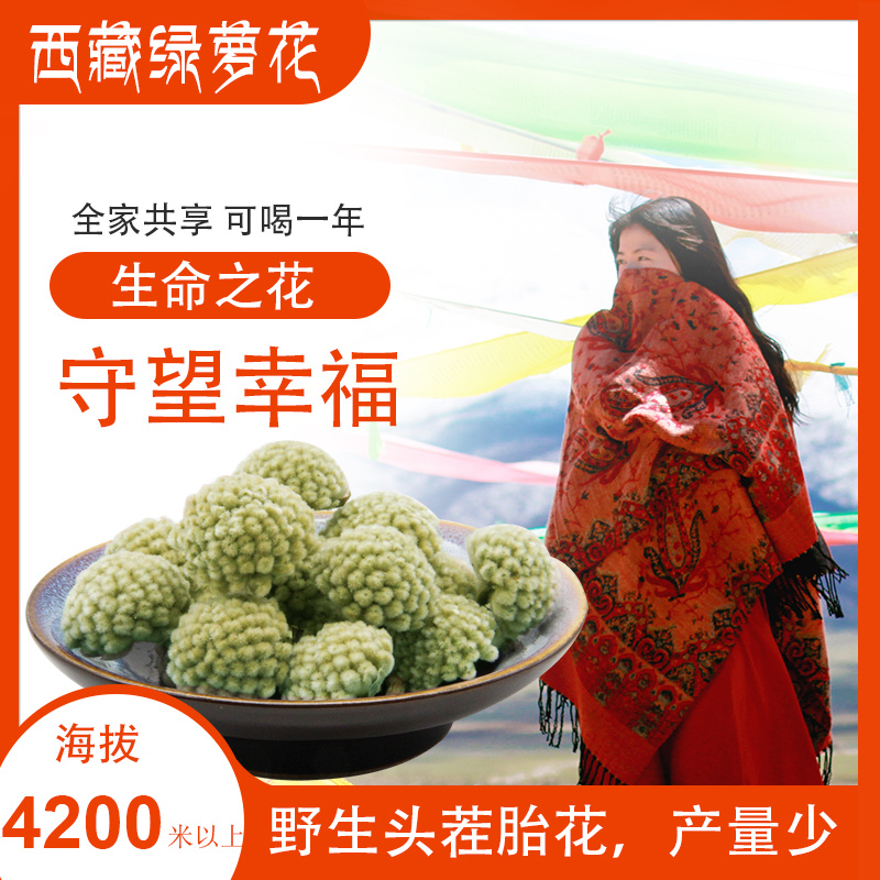 西藏绿萝花茶结香花野生绿罗花保健养生茶叶正品特级头茬大花500g