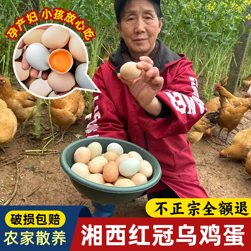 湘西农家散养土鸡蛋新鲜农村自养草鸡柴鸡蛋天然五谷乌鸡蛋60枚