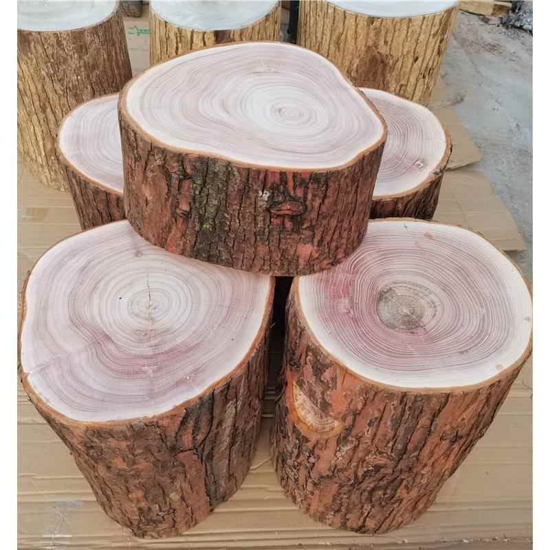 红椿木香椿木墩子原木树桩根雕茶几大板底座实木墩子木桩木头凳子