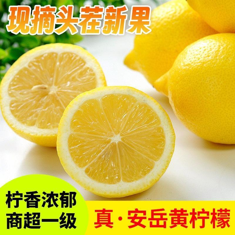 四川真安岳黄柠檬当季新鲜水果泡饮精选薄皮香水鲜甜柠檬生鲜亮袋