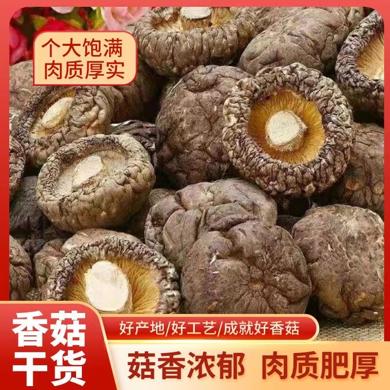 香菇干货净重250g*1包煲汤火锅食材非特级无根肉厚菌菇香菇