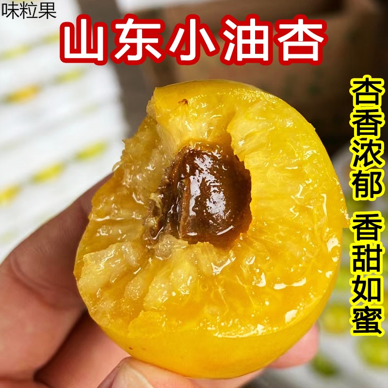 山东珍珠油杏甜杏子杏果当季孕妇新鲜水果非大黄杏新疆小白杏3斤