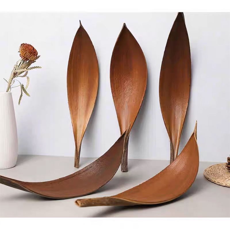 天然植物叶子托盘桌面摆件进口可可叶干花样板房工作室饰拍摄道具