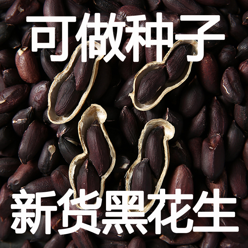 【生熟可选】黑花生种籽子5斤富带壳生的硒黑紫花生新晒干黑花生
