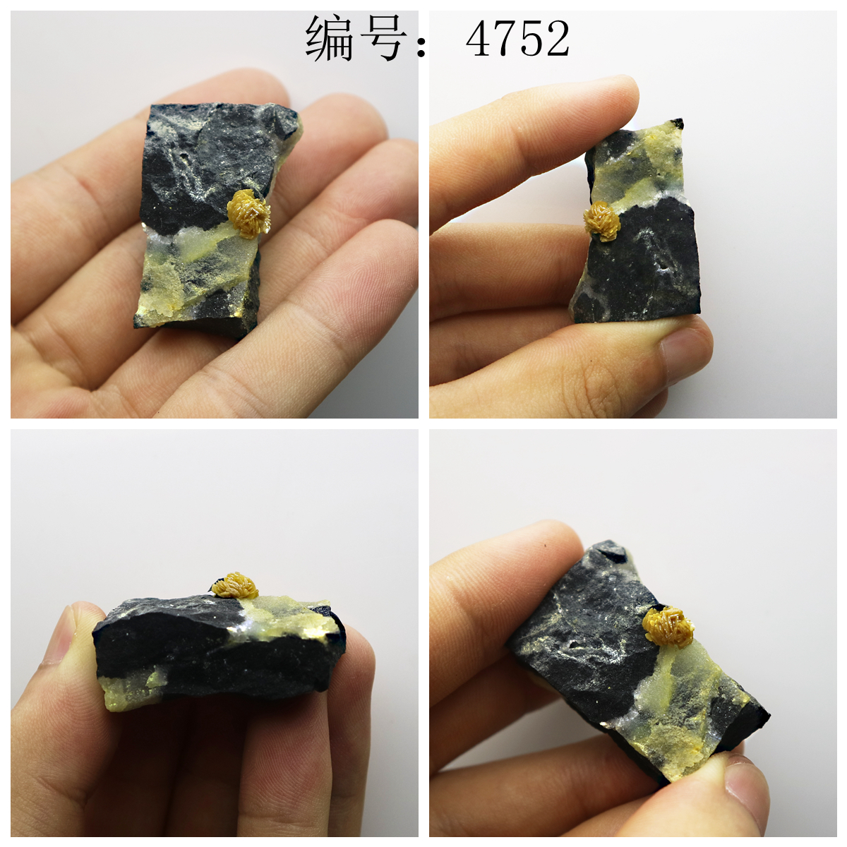 天然 锑华 猫矿标本 湖南产 矿物晶体 矿物标本教学标本 收藏