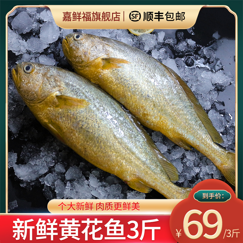 3斤3条特大黄花鱼新鲜无冰生鲜海鲜水产大黄鱼深海鱼羹顺丰包邮
