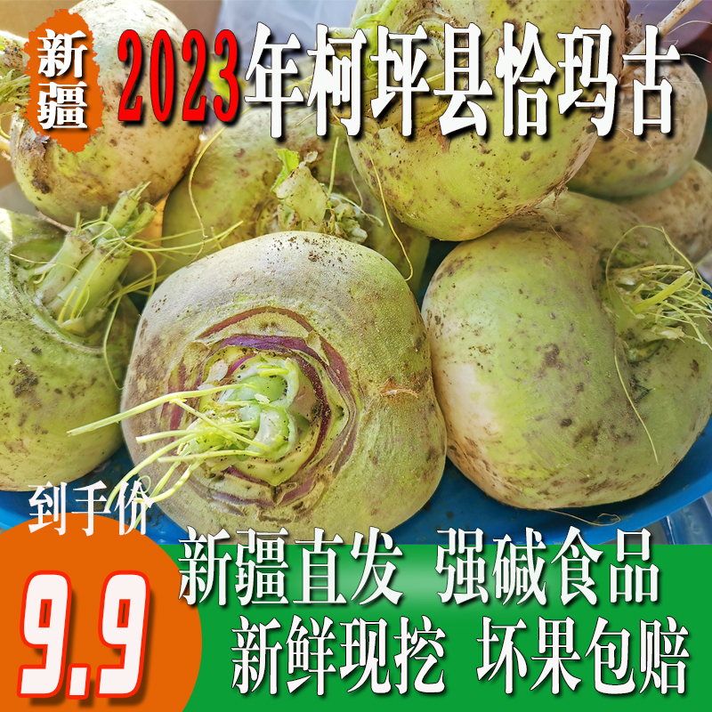 恰玛古新疆柯坪县新鲜蔬菜恰玛古强碱性食品调节酸碱平衡5斤包邮