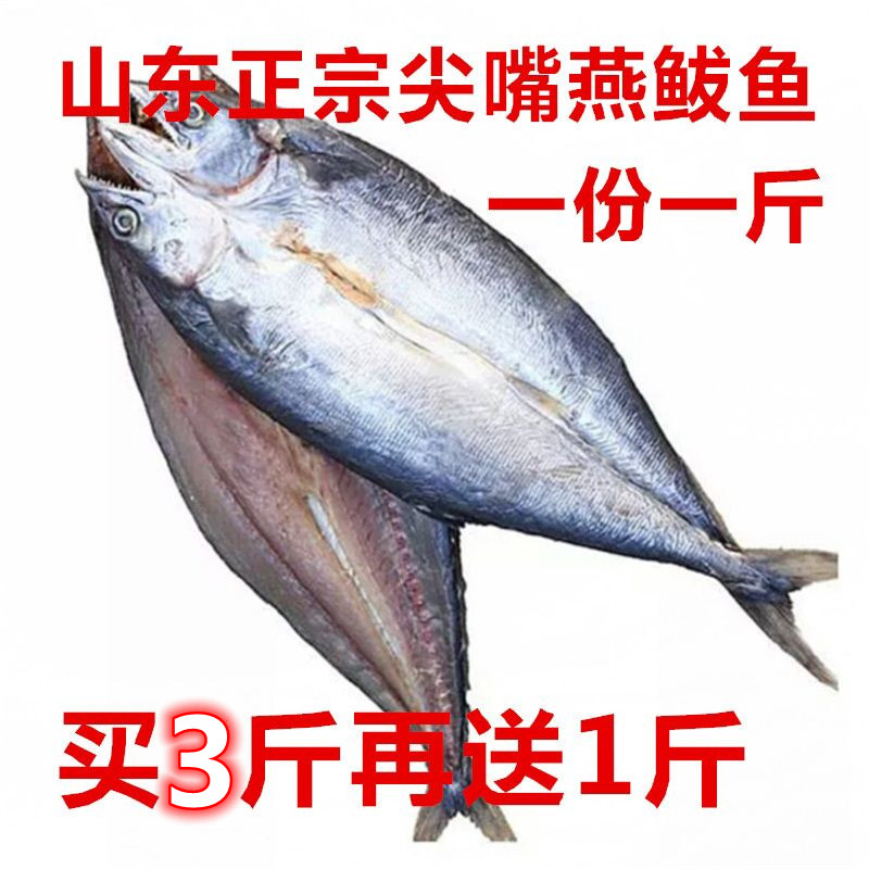 鲅鱼干咸鲅鱼山东正宗尖嘴燕鲅鱼一份500克包邮海产干货咸鱼干