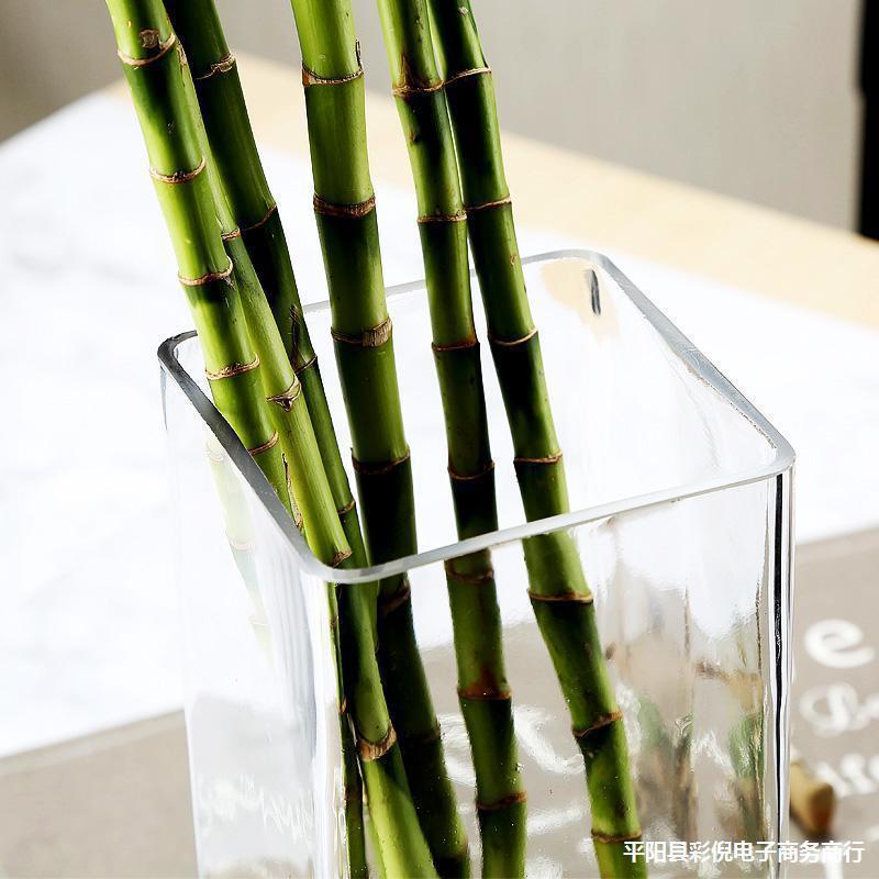 高款花瓶玻璃透明家用养水竹放竹子插富贵竹绿竹花店瓶子方形四方