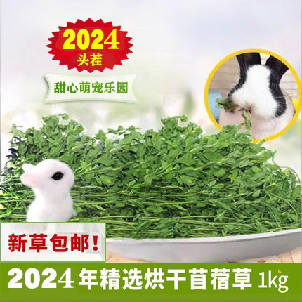 24年头茬烘干紫花苜蓿草兔子龙猫豚鼠羊驼干草营养牧草毛重1KG