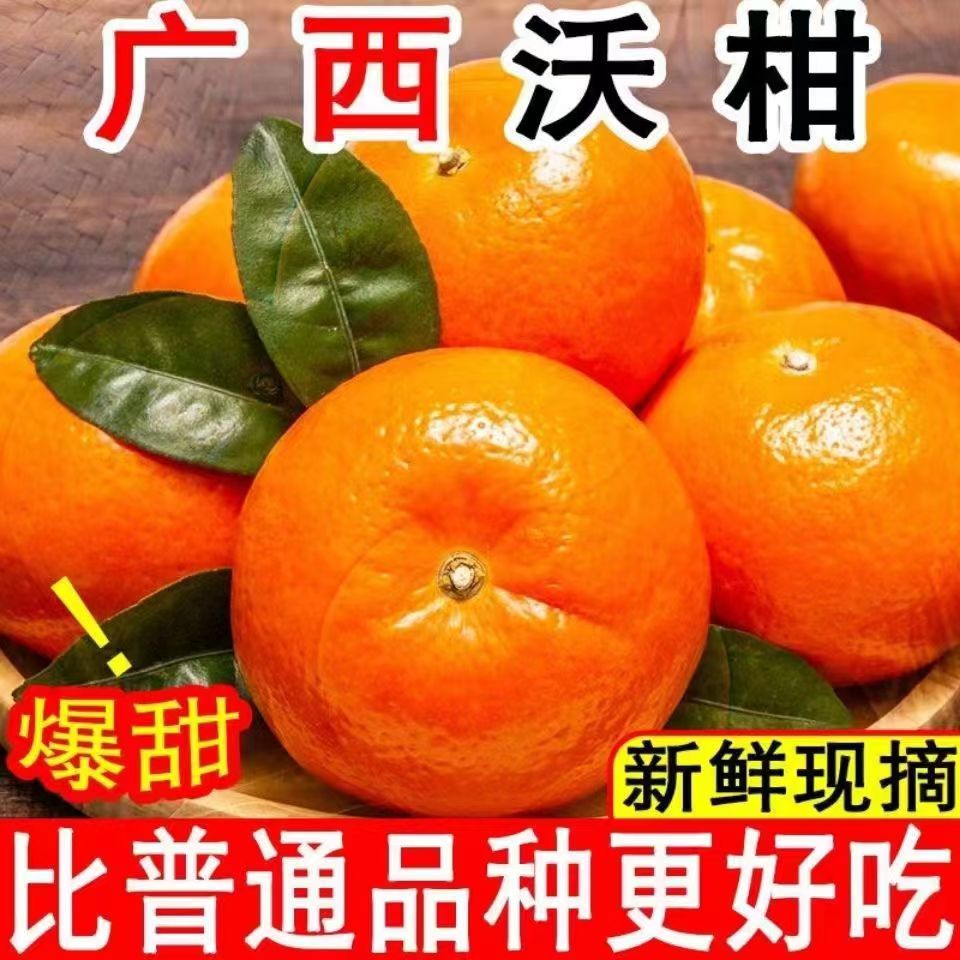 广西武鸣沃柑爆甜水果薄皮非橘子正品新鲜直发