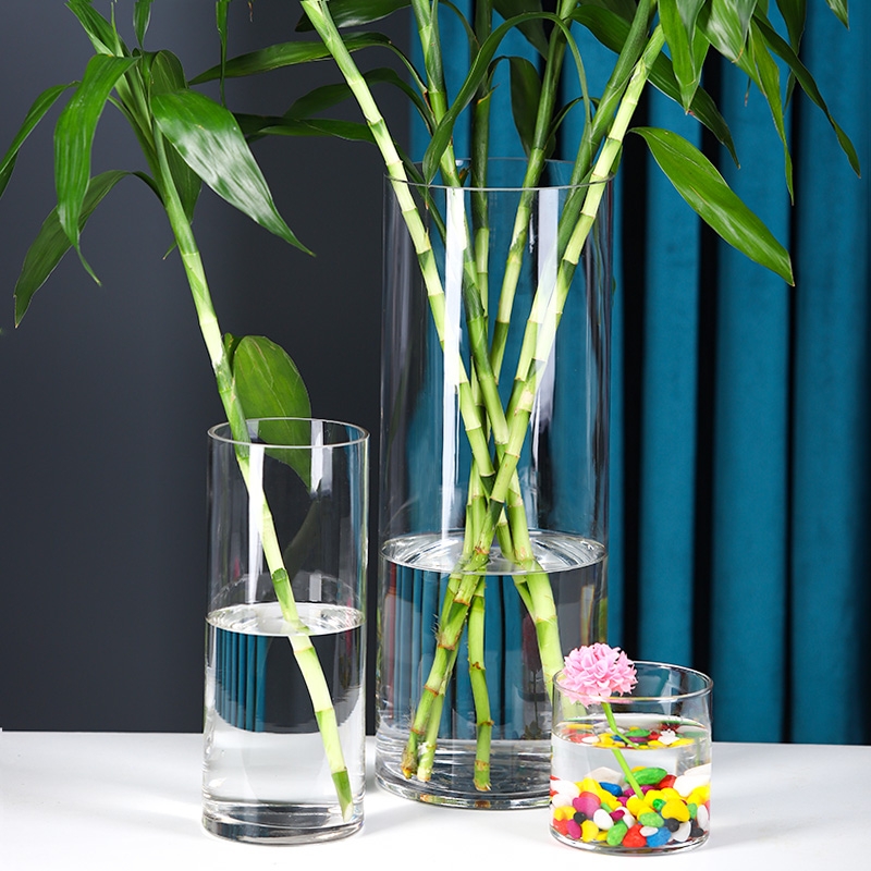 水培植物玻璃瓶透明直筒圆柱花瓶简约绿萝富贵竹落地水养干花桌面