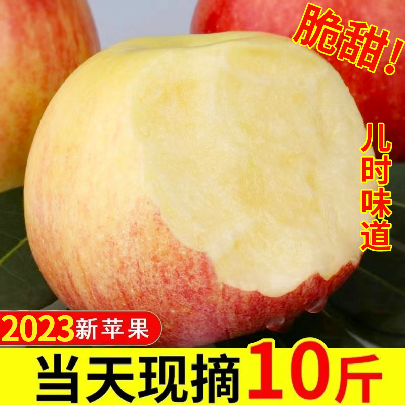 正宗大沙河苹果红富士冰糖心脆甜徐州丰县丑苹果当季新鲜水果10斤