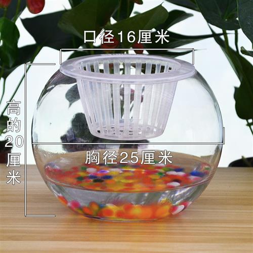 水培植物玻璃生态鱼缸绿萝花盆办公桌面加厚大号鱼缸透明器皿花瓶