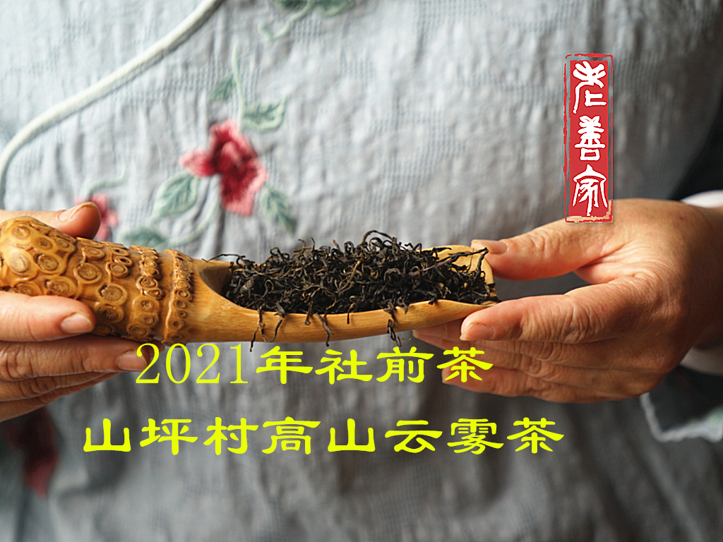 [老善家]2021年社前茶六堡茶（传统工艺）山坪村原种高山茶250克