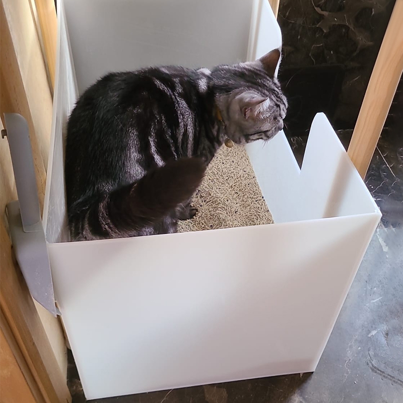 新款巨大塑料猫砂盆尺寸定制猫舍猫厕所订做猫房屋猫屎盆加工狗窝