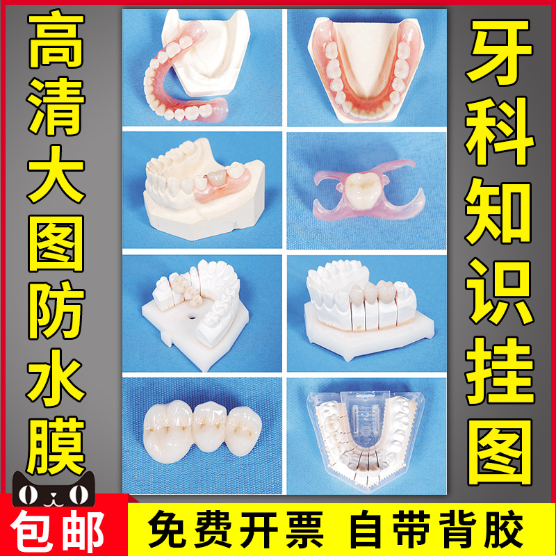 牙科知识挂图口腔科医院诊所门诊宣传挂画墙贴贝氏刷牙法龋齿海报