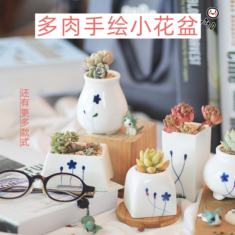 【苏饰】创意拇指控型陶瓷小花盆 桃蛋多肉植物特小迷你手绘容器