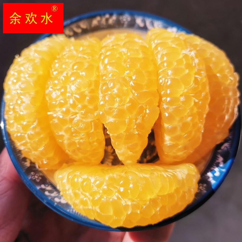 鲜农惠老树胡柚精选大果5斤当季新鲜水果常山特产黄心西柚小柚子