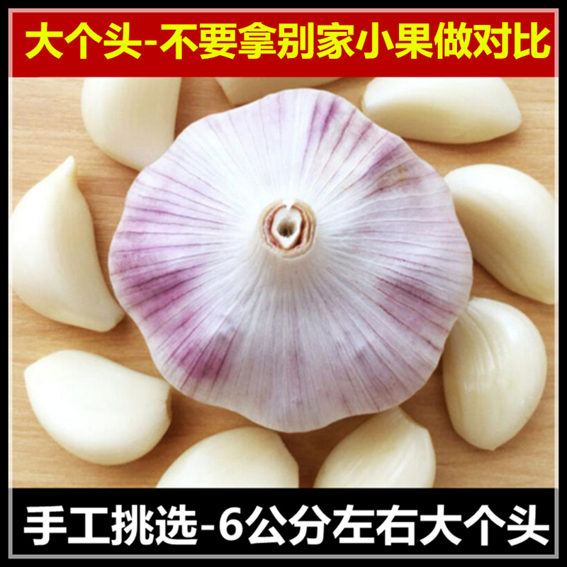 新干蒜【全大果】5斤批发价蒜头低价3/10斤装白紫皮红皮新鲜大蒜