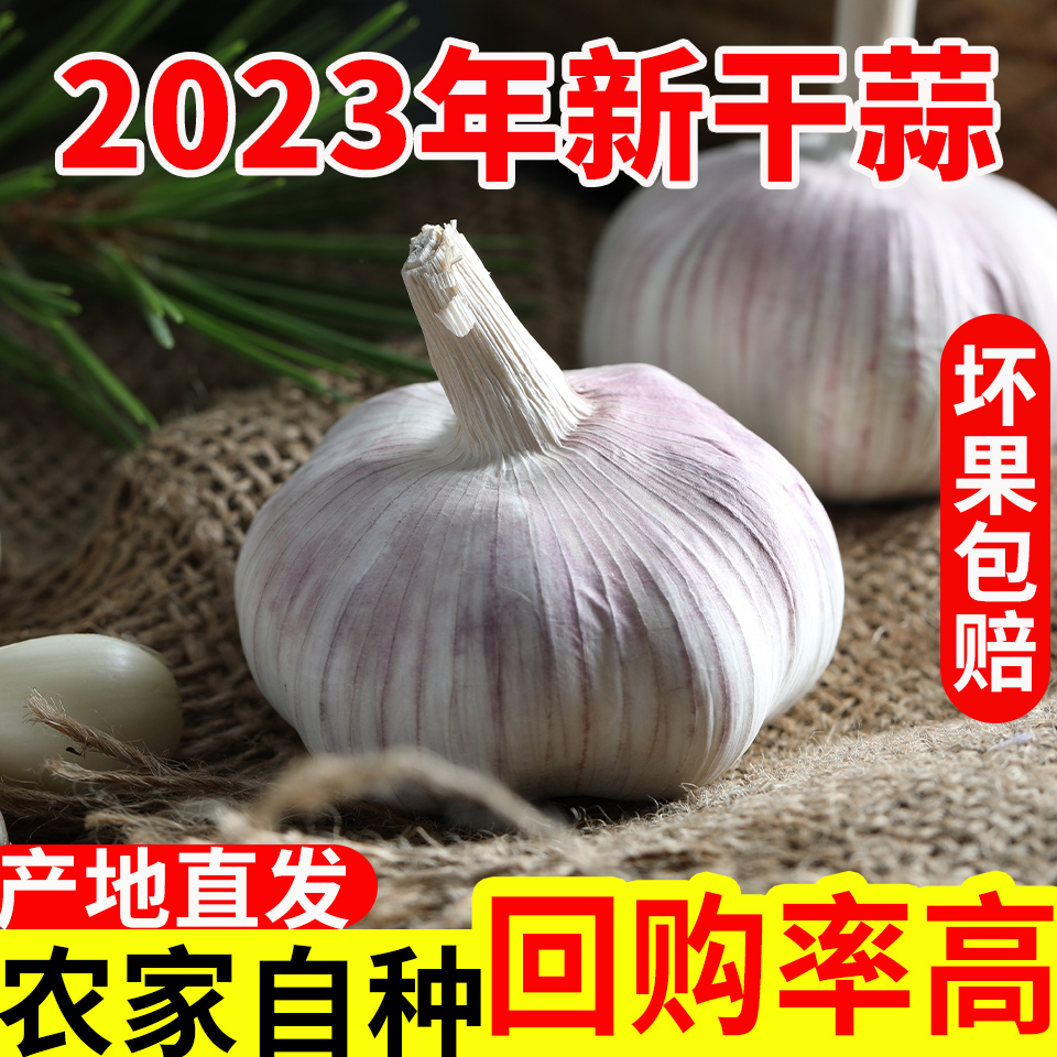 【便宜了】2023年新鲜新晒大蒜头干蒜5斤装农家自种蒜头1斤2斤3斤