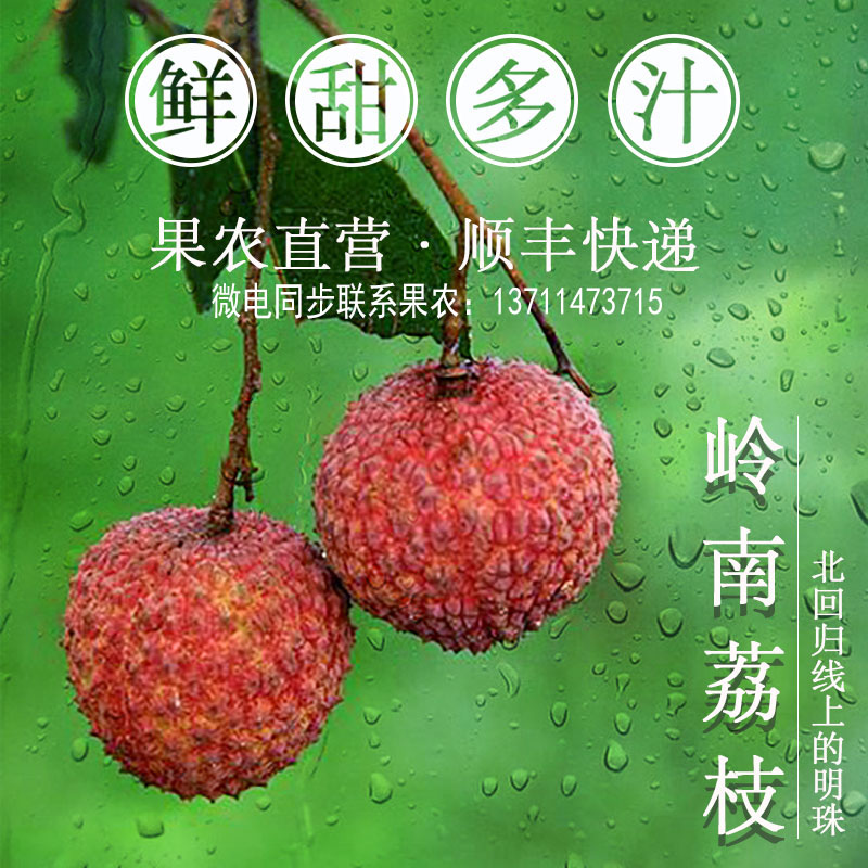 广东当季新鲜水果现摘现发整箱农家果园从化荔枝小核桂味糥米包邮