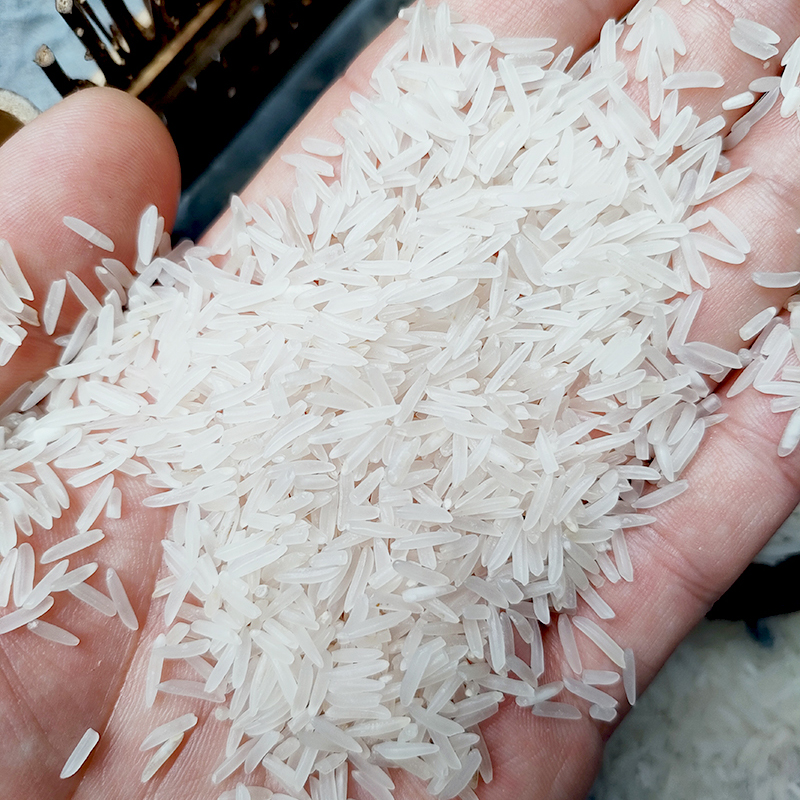 绿品安香大米5kg丝苗米猫牙鲜米真空小包装新大米长粒香大米10斤