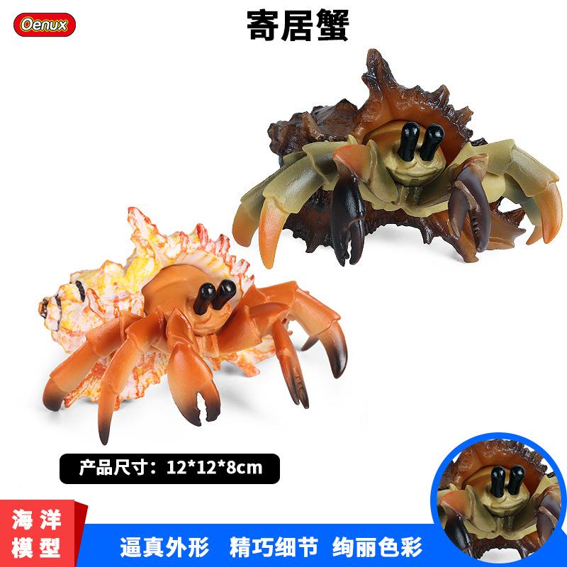 仿真海洋生物模型塑胶实心海底动物寄居蟹海洋蟹儿童玩具摆件手办