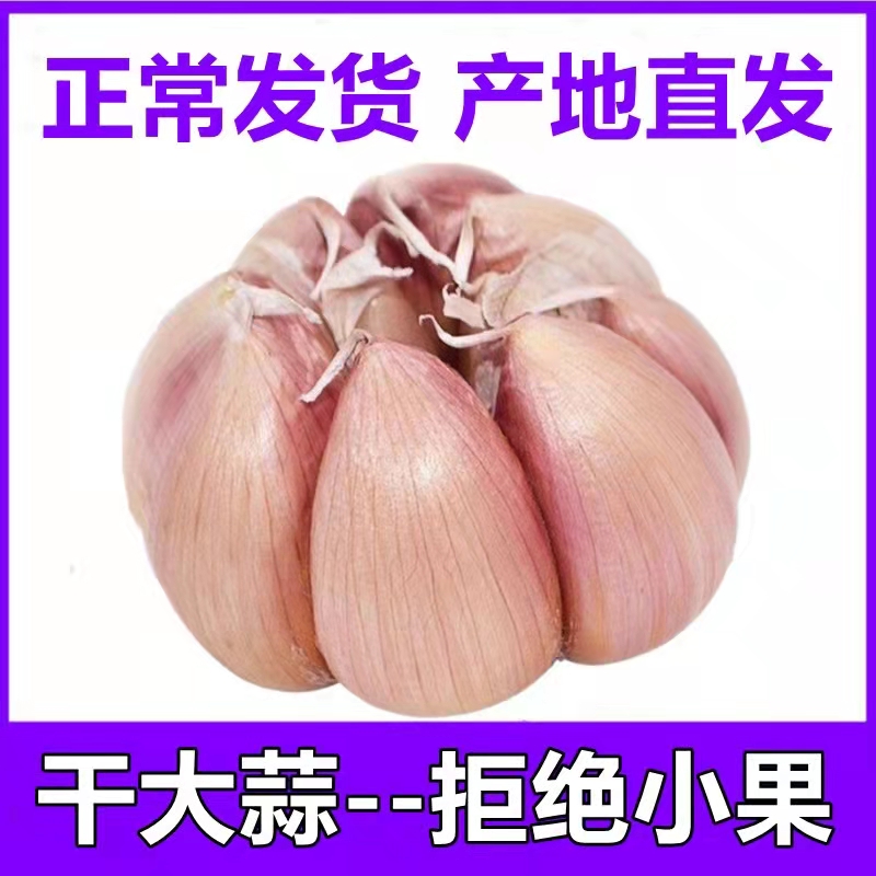 农家自种干大蒜头新鲜白紫皮3/5/10斤装种籽干蒜低价大蒜晒干批发