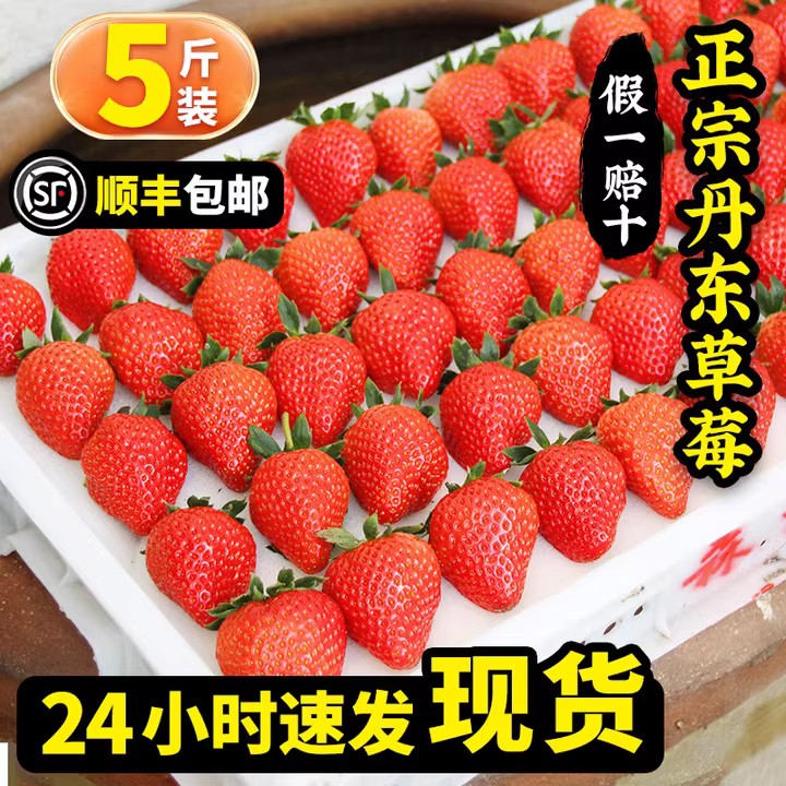 【4斤装】丹东99草莓新鲜水果九九红颜奶油大草莓礼盒孕妇牛香甜