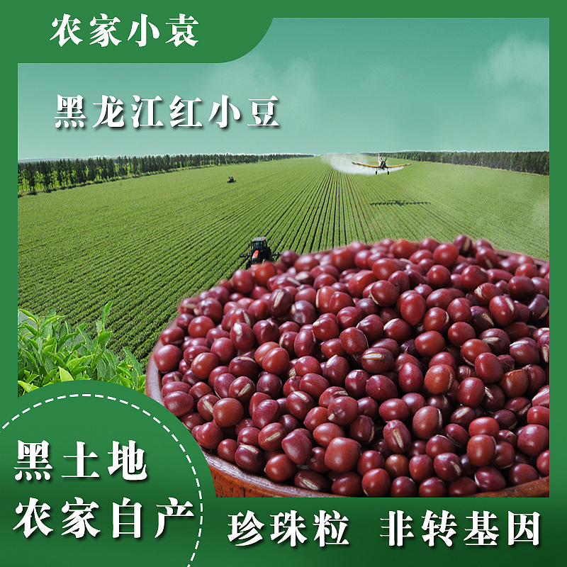 黑龙江红小豆1斤非转基因农家自产小红豆500g五谷杂粮新豆