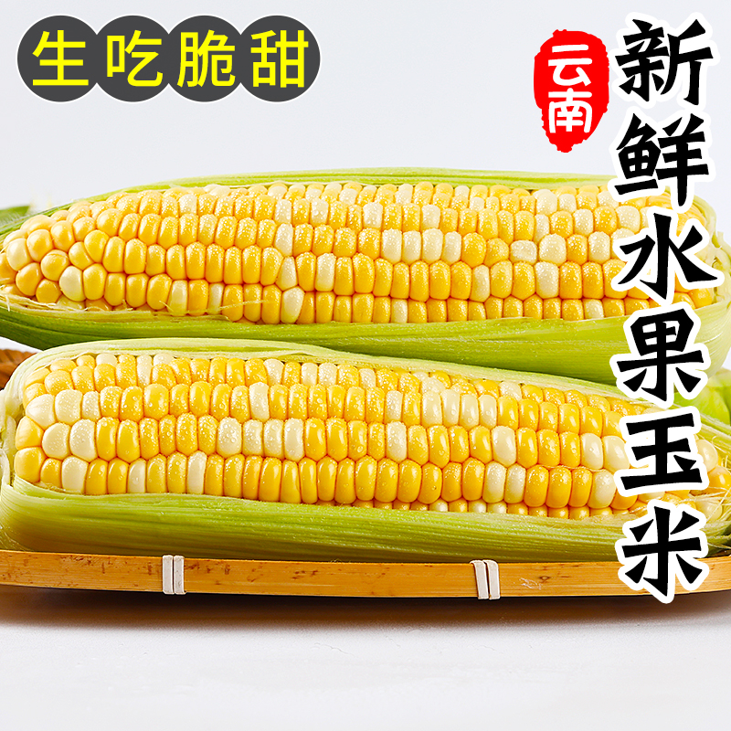 云南特产新鲜金银水果玉米8斤即食生吃玉米棒云南双色玉米包邮