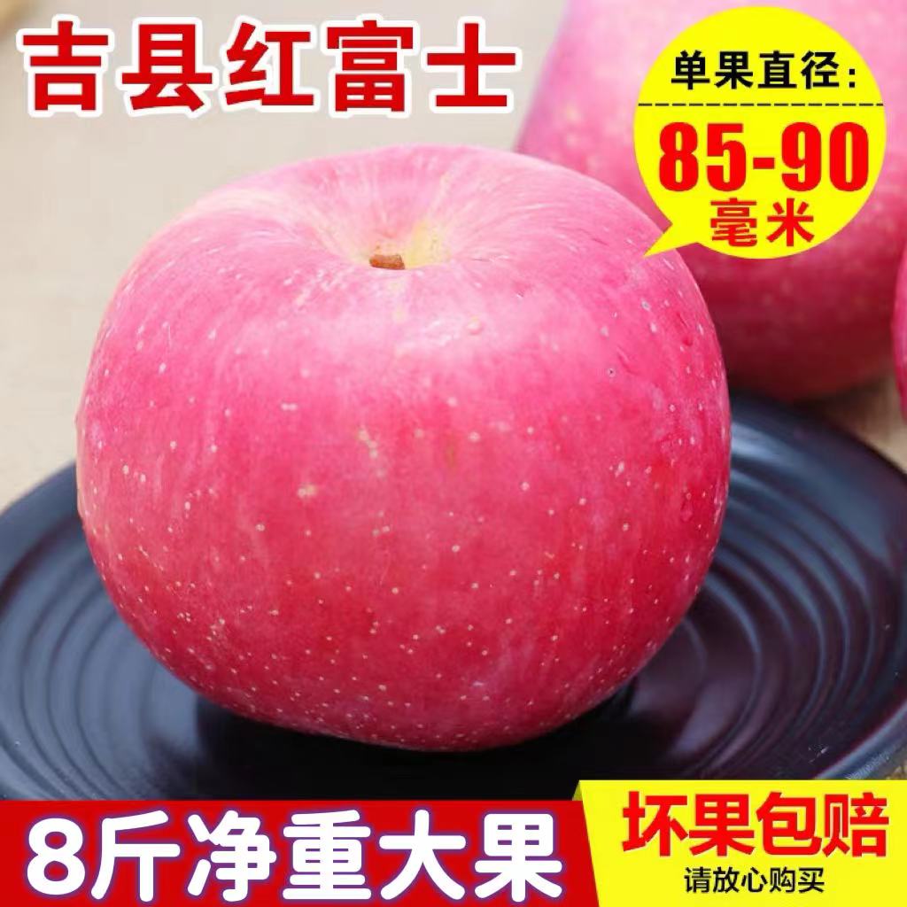 山西特产吉县红富士苹果壶口冰糖心苹果脆甜水果新鲜当季现摘