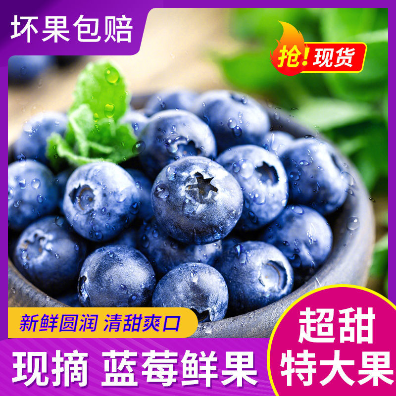 云南有机蓝莓鲜果大果新鲜当季时令水果整箱蓝莓现摘先发顺丰包邮