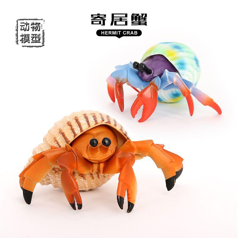 儿童仿真实心海洋动物模型海底生物寄居蟹海洋蟹螃蟹玩具礼品摆件