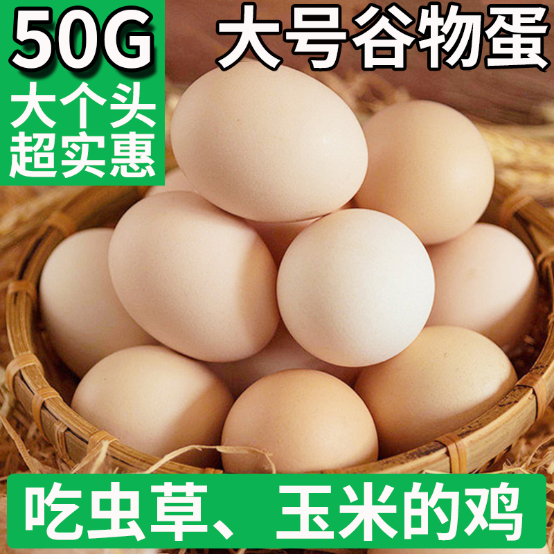 正宗新鲜农家鸡蛋50g*10枚柴草鸡蛋谷物蛋农村散养营养美味食用