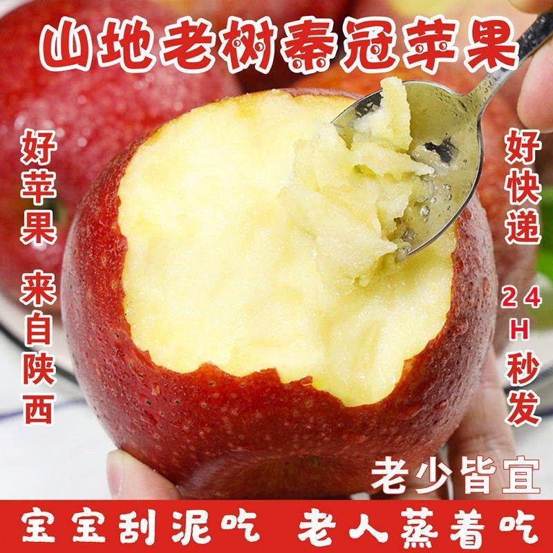 正宗秦冠苹果粉面沙甜宝宝辅食老人刮泥当季新鲜苹果水果糖心苹果