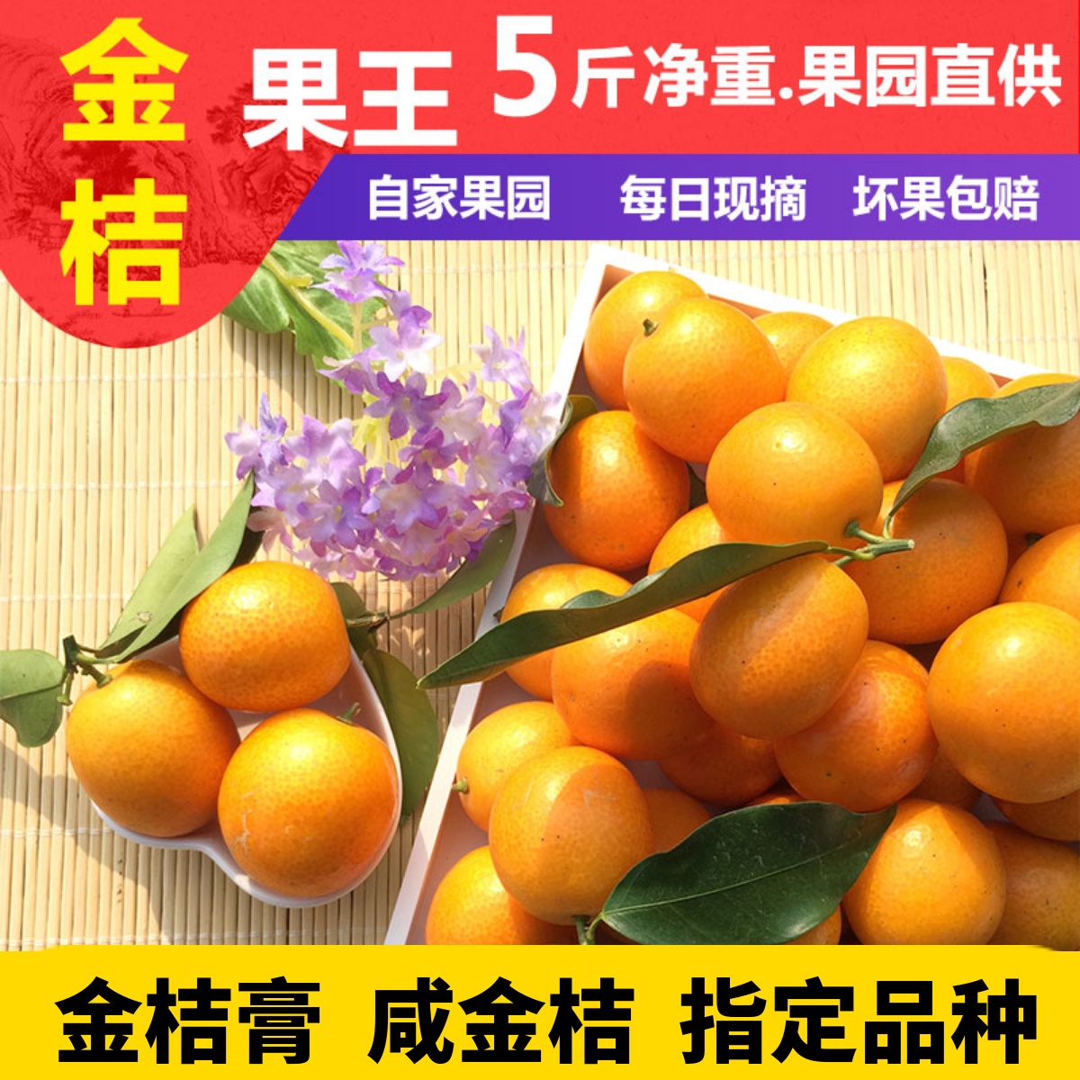 新鲜现摘阳朔油麻皮金桔广西桂林当季黄金橘酸甜孕妇水果 5斤包邮