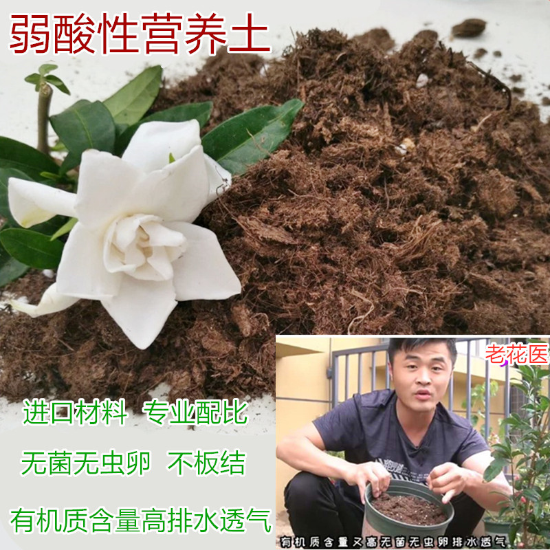 茉莉花土茉莉花专用盆栽土家用营养土酸性泥炭土壤绿植种植土肥料