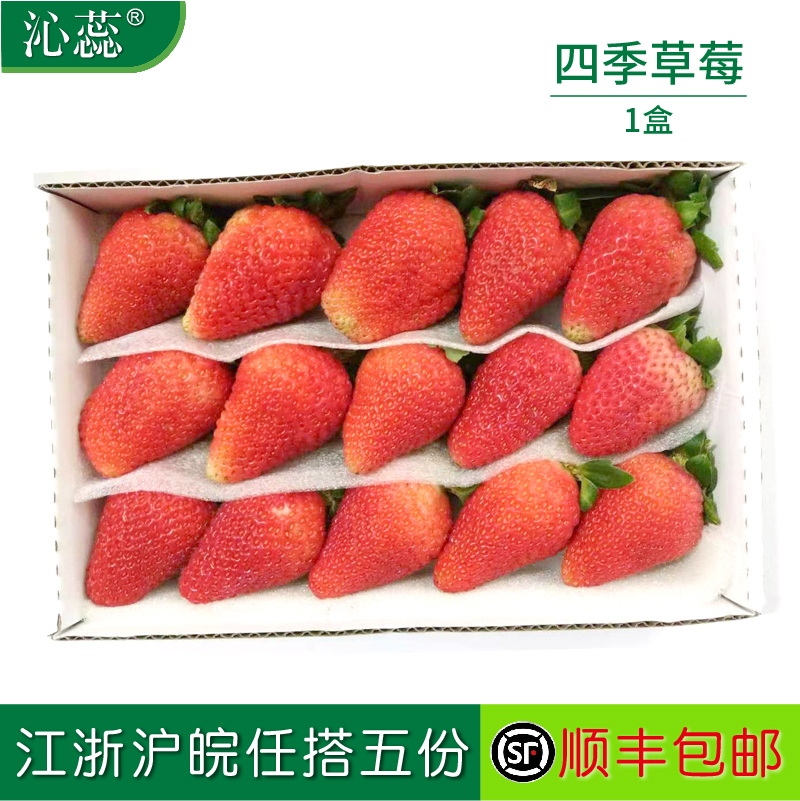 【沁蕊】新鲜草莓约300g/盒 四季草莓 蛋糕装饰 味酸 西餐摆盘