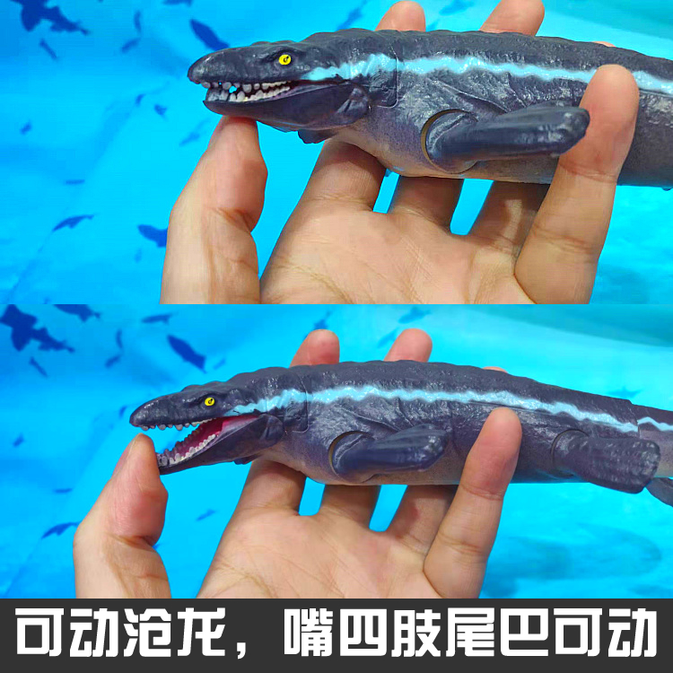沧龙玩具可动蛇颈龙棘龙翼龙腔棘鱼模型霸王龙腕龙牛龙三角龙甲龙
