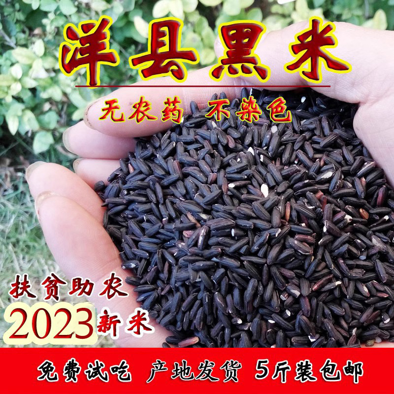 洋县黑米农家自产黑香米5斤五谷粗粮杂粮血糯米黑米粥新米黑糯米