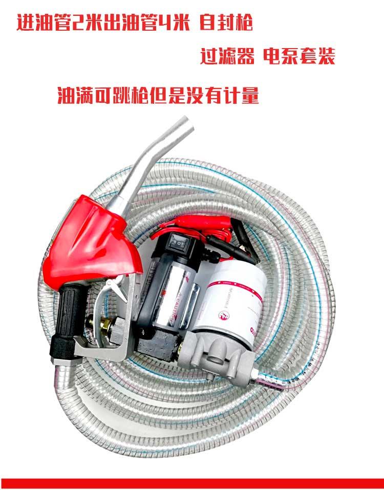 专用禹诺 电动柴油抽油泵12V24V220伏加油泵自吸泵大功率计量加油