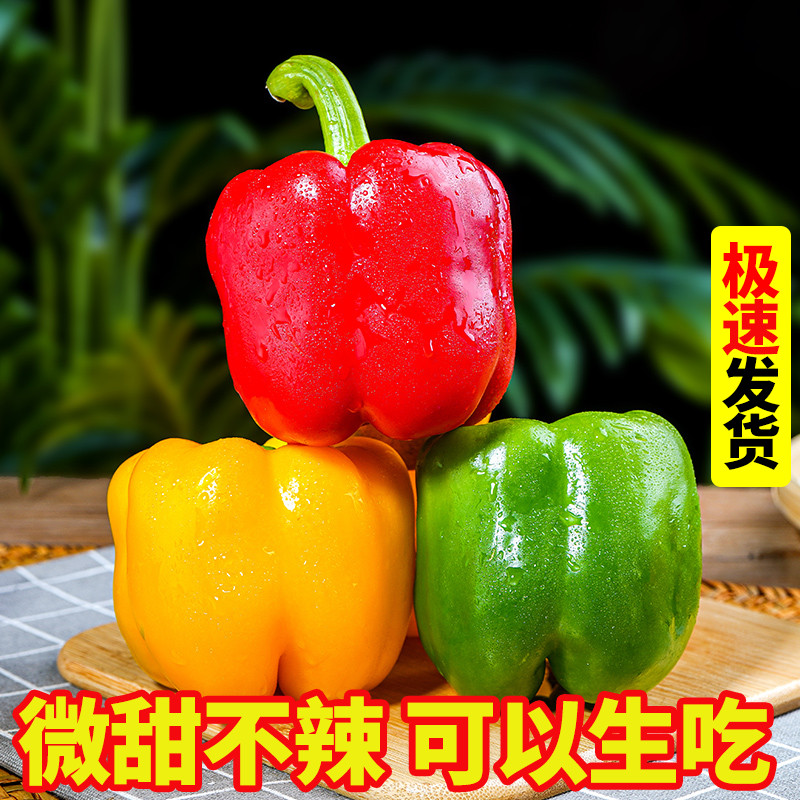 彩椒新鲜蔬菜灯笼椒青椒甜椒绿色圆椒彩色菜椒现摘大青椒农家种植