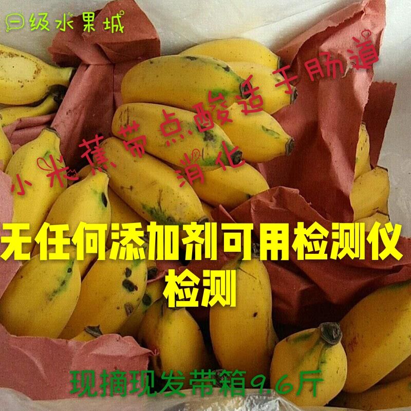 水果城现摘酸甜小米蕉无公害新鲜九斤包邮非大香蕉芭蕉美人蕉粉蕉